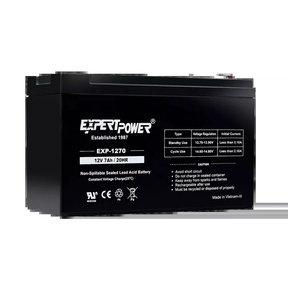 12 Volt, 8 amp Rechargeable Battery