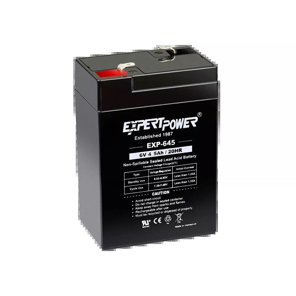 6 Volt 4 amp Rechargeable Battery