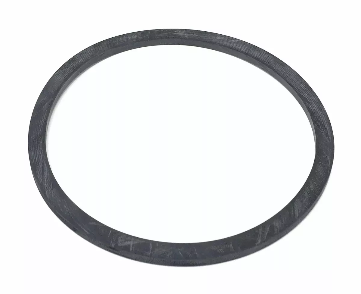 Binks 80-392 Lid Gasket