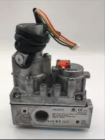IPI Gas Valve – SRV2166-302