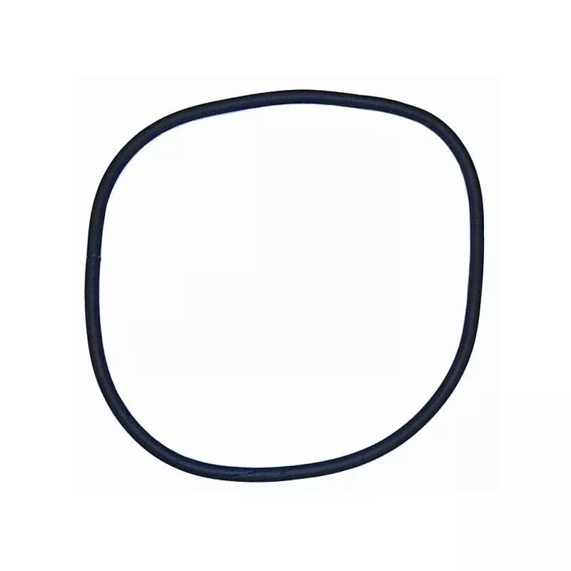 Sierra - TRANSOM SEAL MC 43713 - 2724